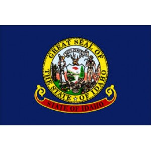 3'x5' Idaho State Flag Nylon
